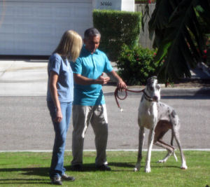 Cesar Millan and Buster