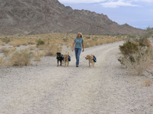 Walking Trail SR Mtns